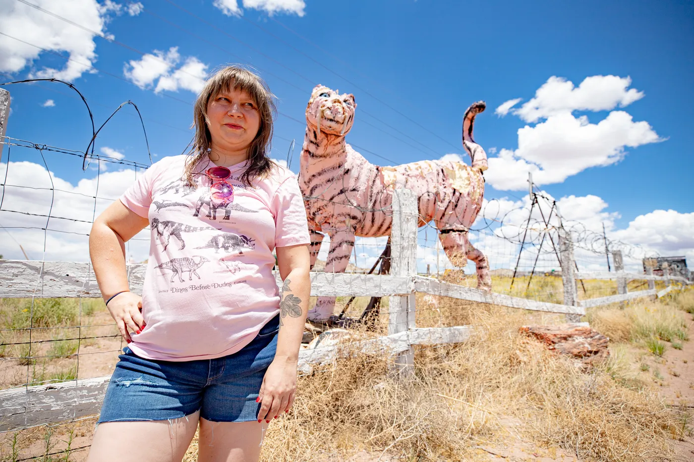 Giant tiger at Stewart's Petrified Wood in Holbrook, Arizona Route 66 Roadside Attraction