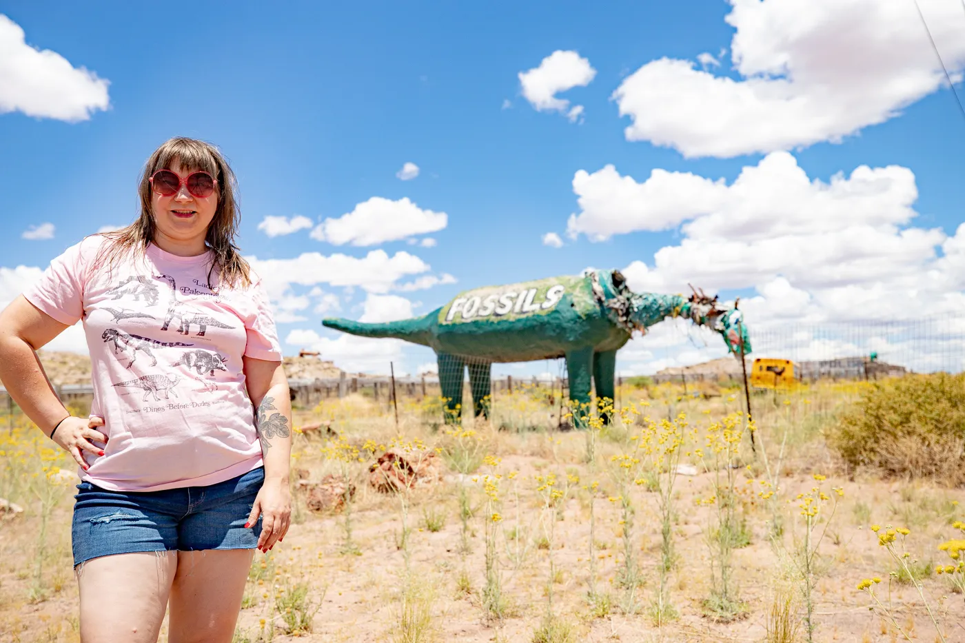 Dinosaur at Stewart's Petrified Wood in Holbrook, Arizona Route 66 Roadside Attraction