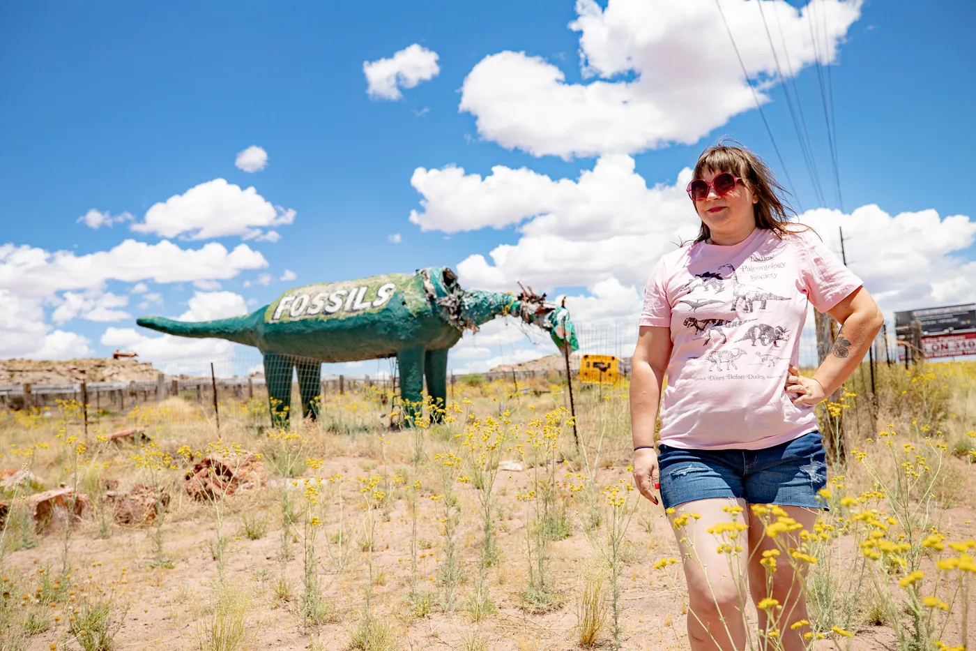 Dinosaur at Stewart's Petrified Wood in Holbrook, Arizona Route 66 Roadside Attraction