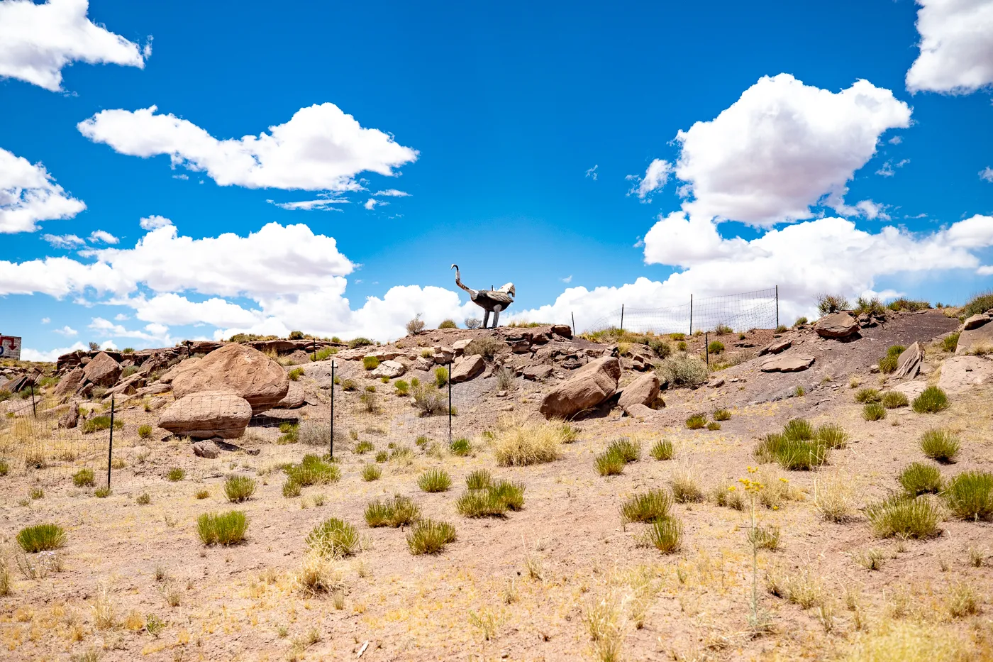 Giant Ostrich at Stewart's Petrified Wood in Holbrook, Arizona Route 66 Roadside Attraction