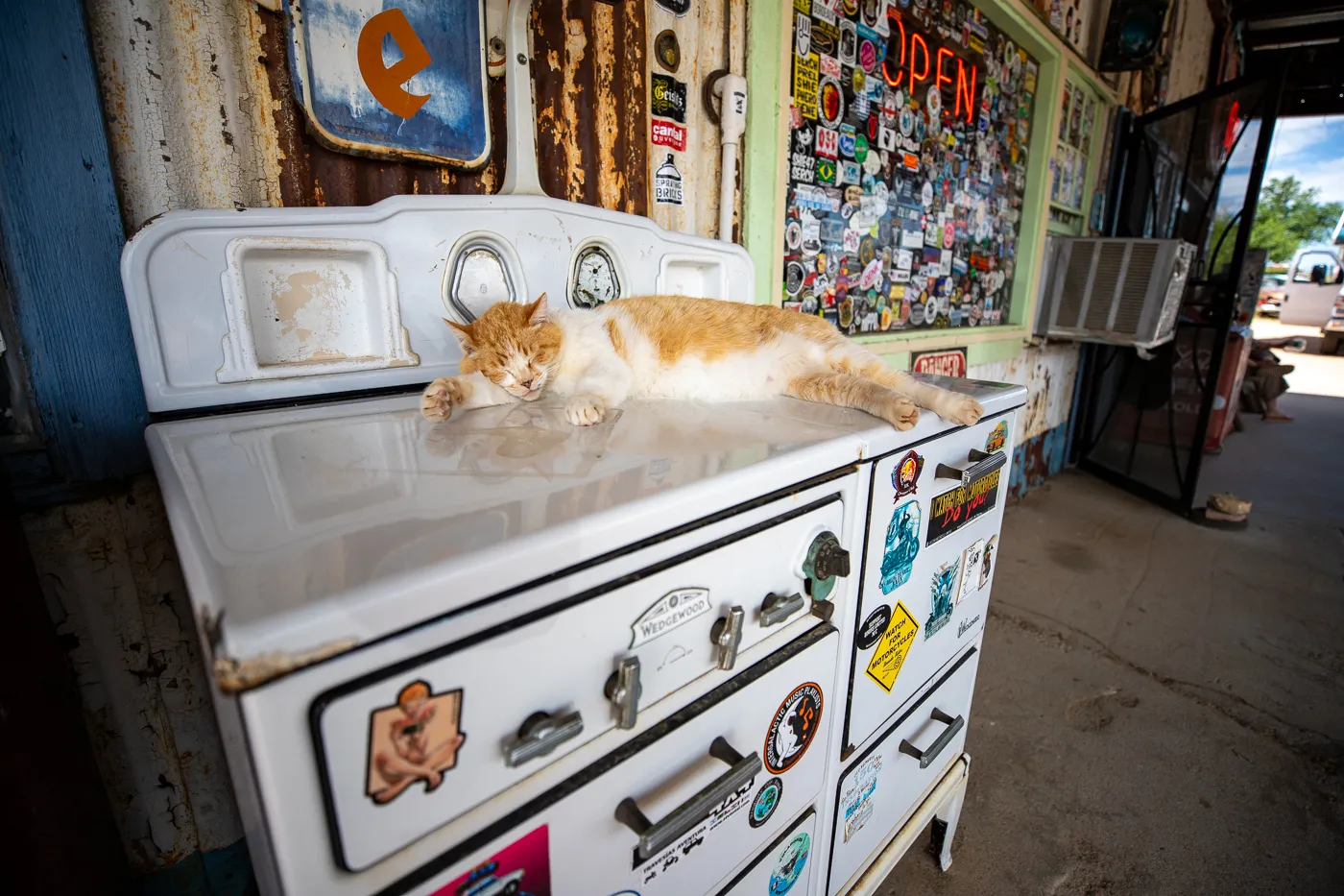 Resident cat at Hackberry General Store in Kingman, Arizona Route 66 Roadside Attraction and Souvenir Shop