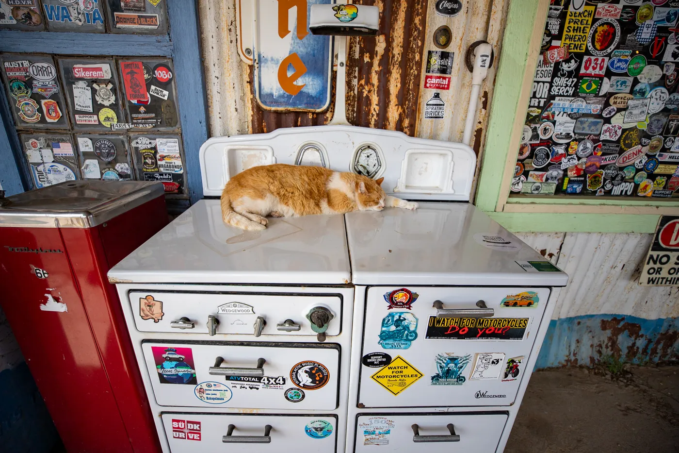 Resident cat at Hackberry General Store in Kingman, Arizona Route 66 Roadside Attraction and Souvenir Shop