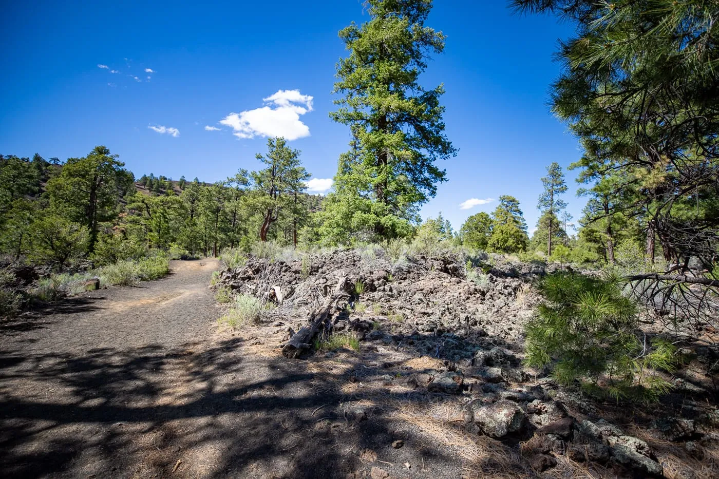 Ice Cave and Bandera Volcano in Grants, New Mexico Route 66 Attraction