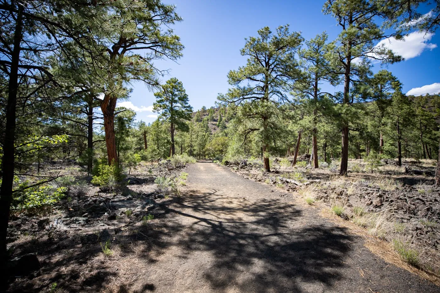 Ice Cave and Bandera Volcano in Grants, New Mexico Route 66 Attraction