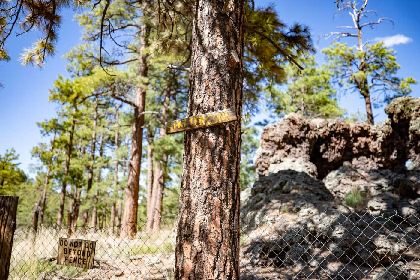 Ice Cave and Bandera Volcano in Grants, New Mexico Route 66 Attraction