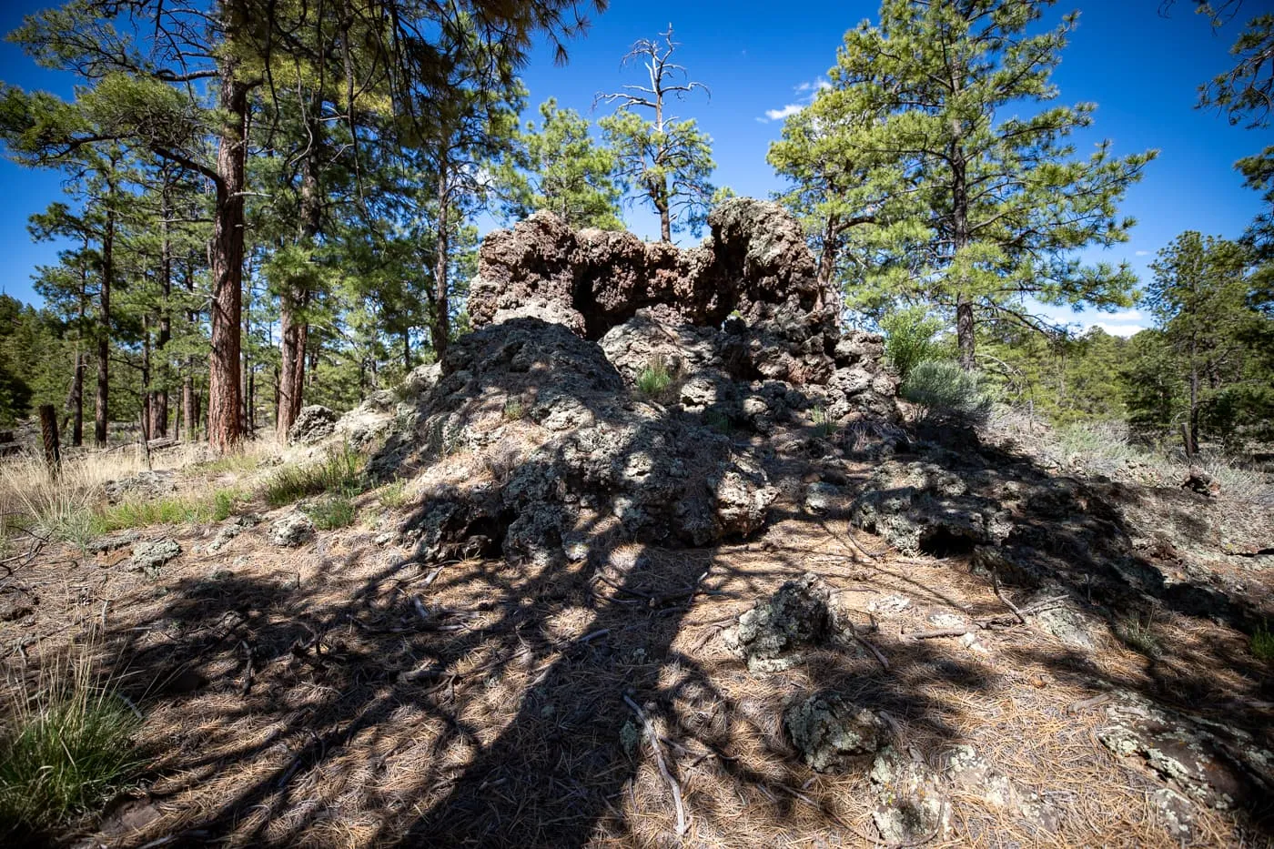 Ice Cave and Bandera Volcano in Grants, New Mexico Route 66 Attraction