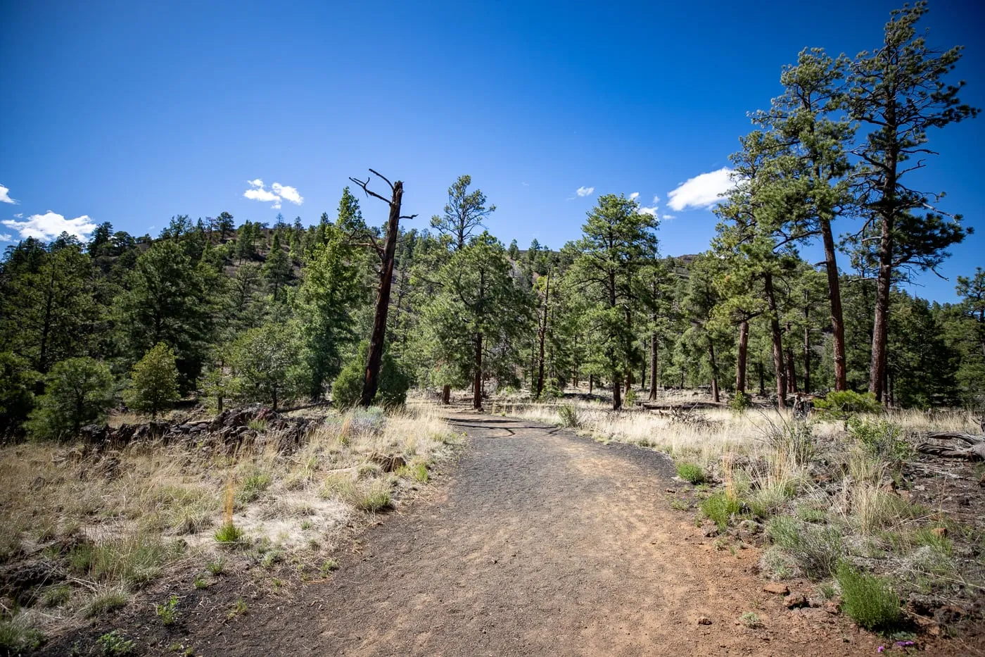 Ice Cave and Bandera Volcano in Grants, New Mexico Route 66 Attraction