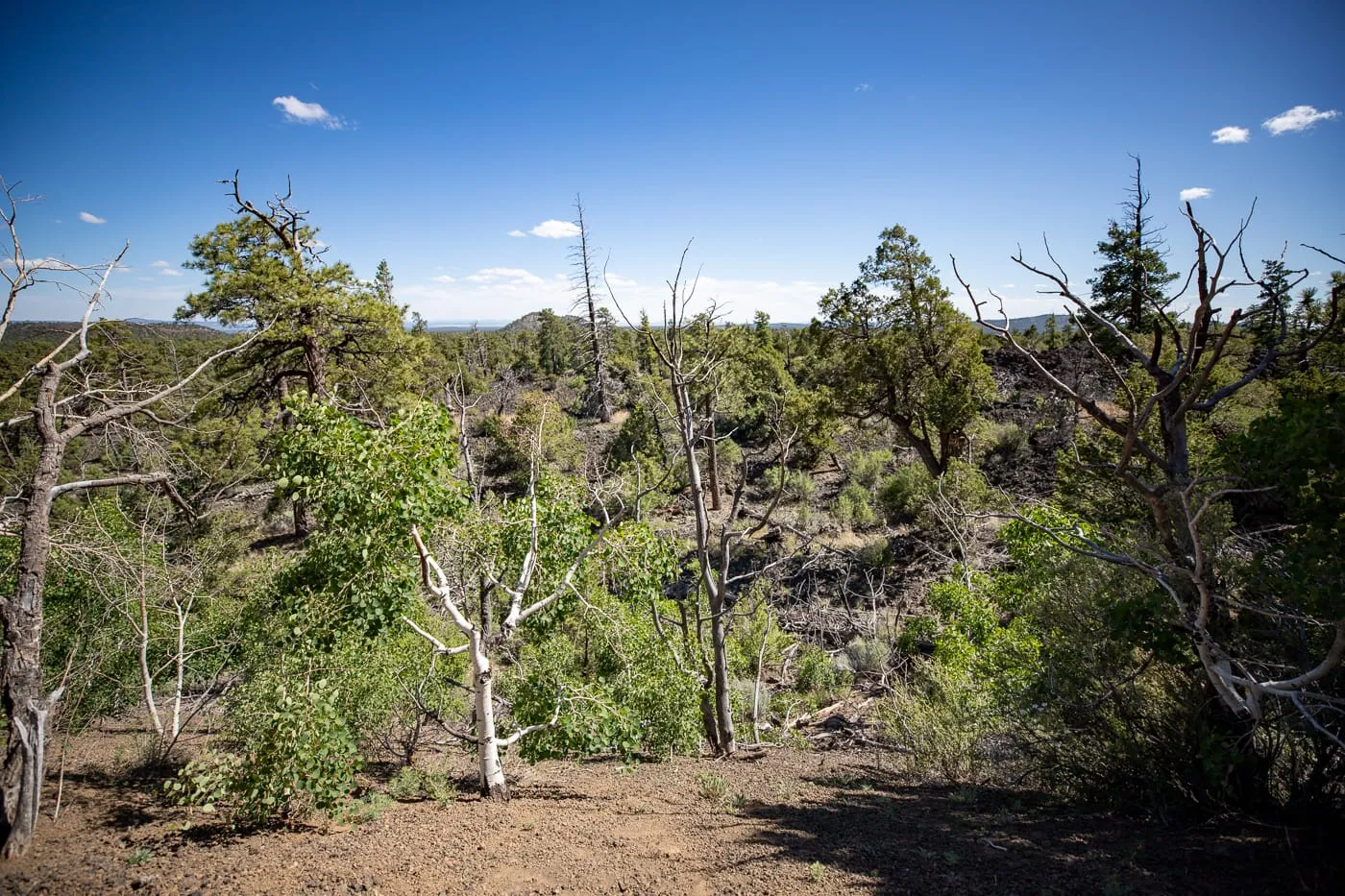 Ice Cave and Bandera Volcano in Grants, New Mexico Route 66 Attraction