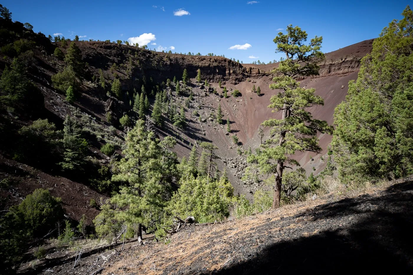 Ice Cave and Bandera Volcano in Grants, New Mexico Route 66 Attraction