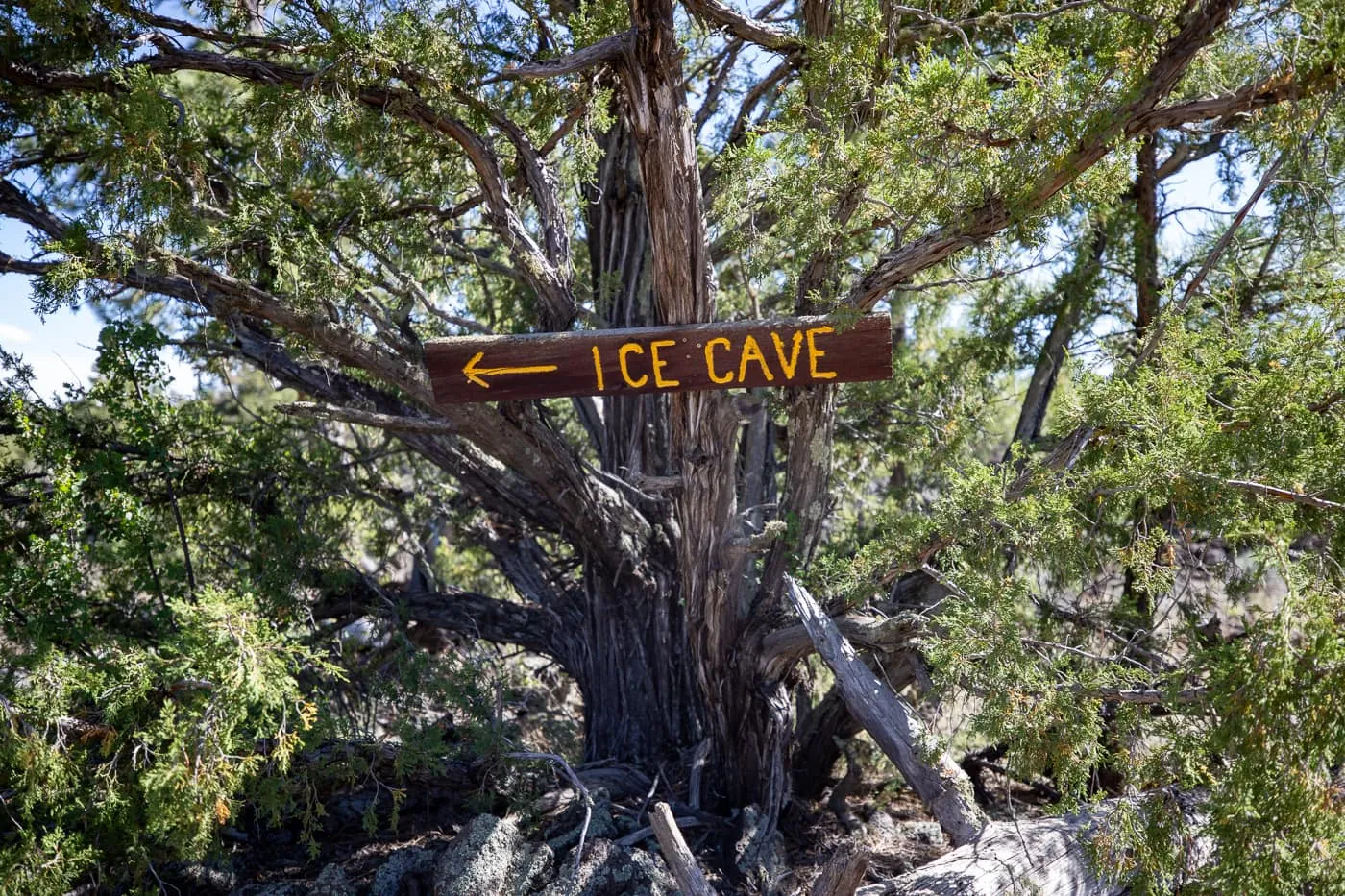 Ice Cave and Bandera Volcano in Grants, New Mexico Route 66 Attraction