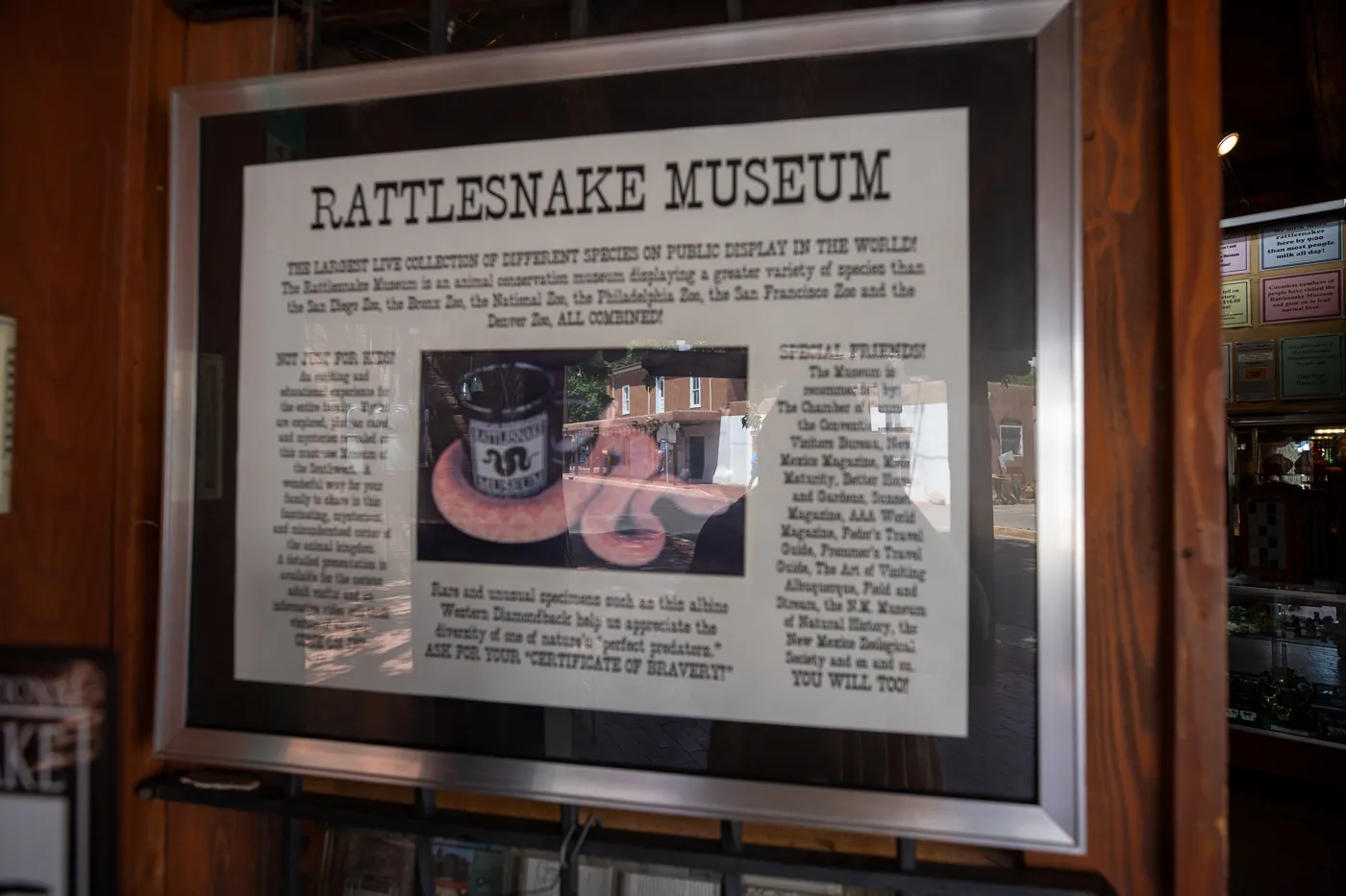 Rattlesnake Museum & Gift Shop in Albuquerque, New Mexico