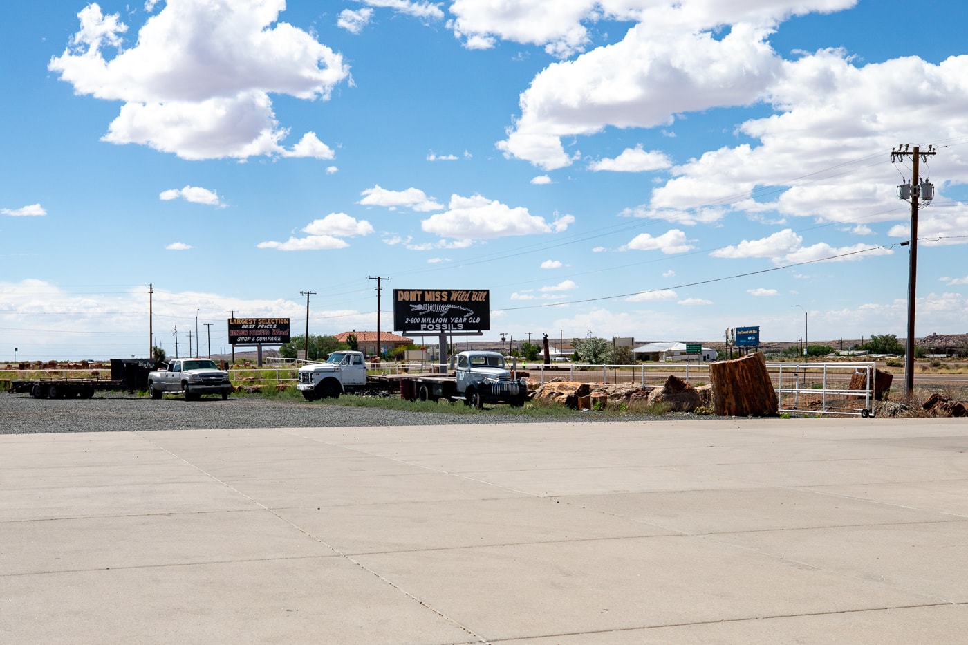 Jim Gray's Petrified Wood Co in Holbrook, Arizona Route 66 Roadside Attraction