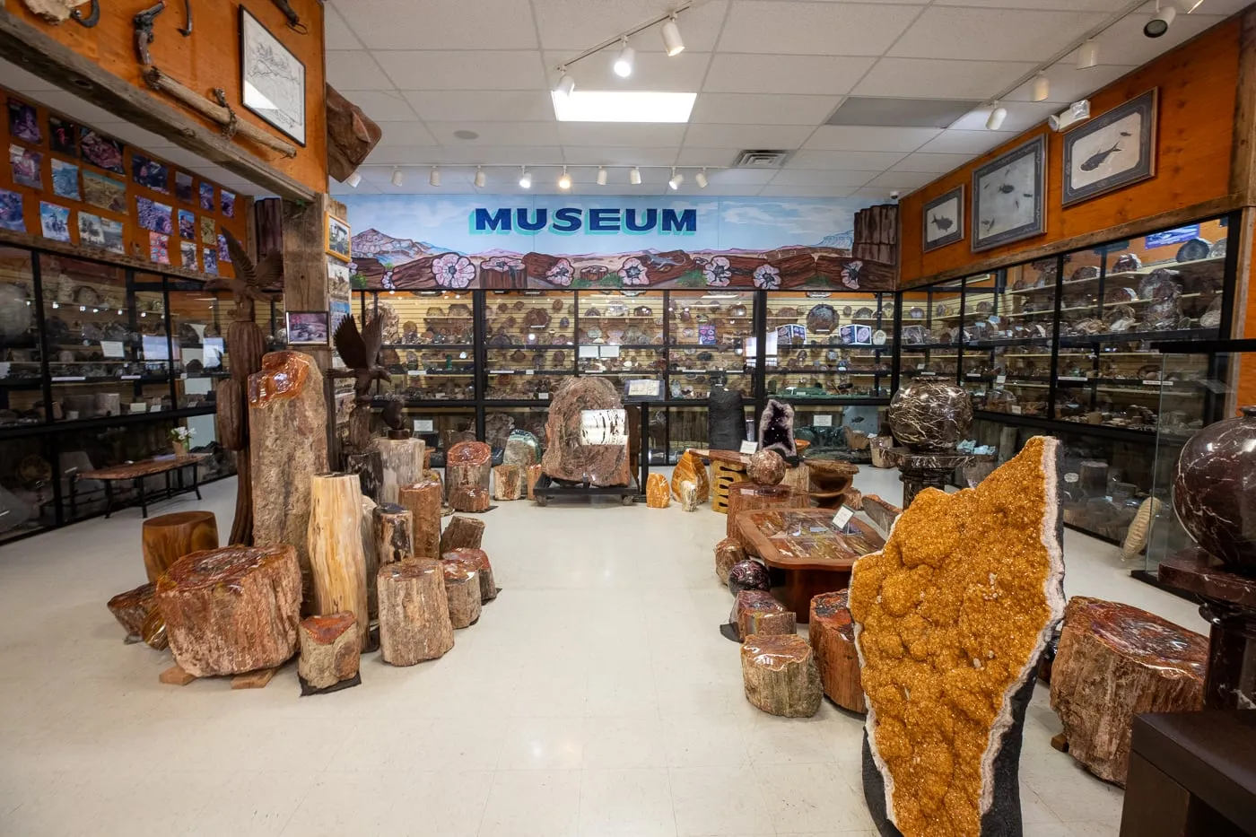 Jim Gray's Petrified Wood Co in Holbrook, Arizona Route 66 Roadside Attraction