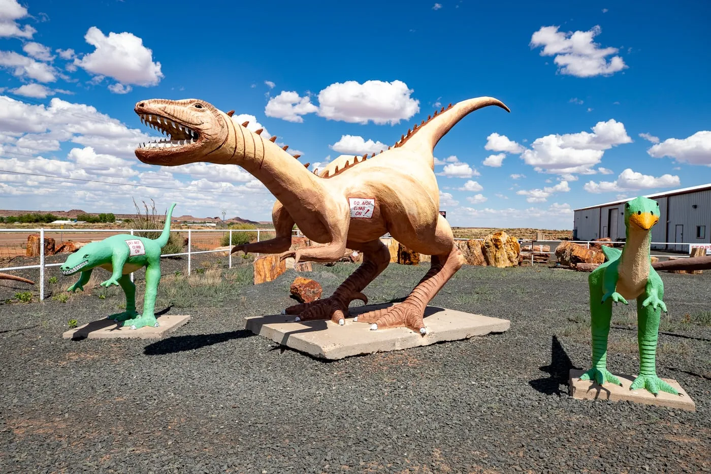Jim Gray's Petrified Wood Co in Holbrook, Arizona Route 66 Roadside Attraction