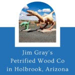 You can't drive Route 66 in Arizona without passing by a petrified wood shop or two, each trying to outdo each other with weirder and bigger roadside attractions and gimmicks that catch the eye of passersby. One of the best of these Route 66 rock shops you can find is Jim Gray's Petrified Wood Co in Holbrook, Arizona. Look for the dinosaurs, the 2.9 million year old alligator, and impressive selection of natural souvenirs. #Route66 #Route66RoadTrip #ArizonaRoadTrip #Arizona #RoadsideAttraction
