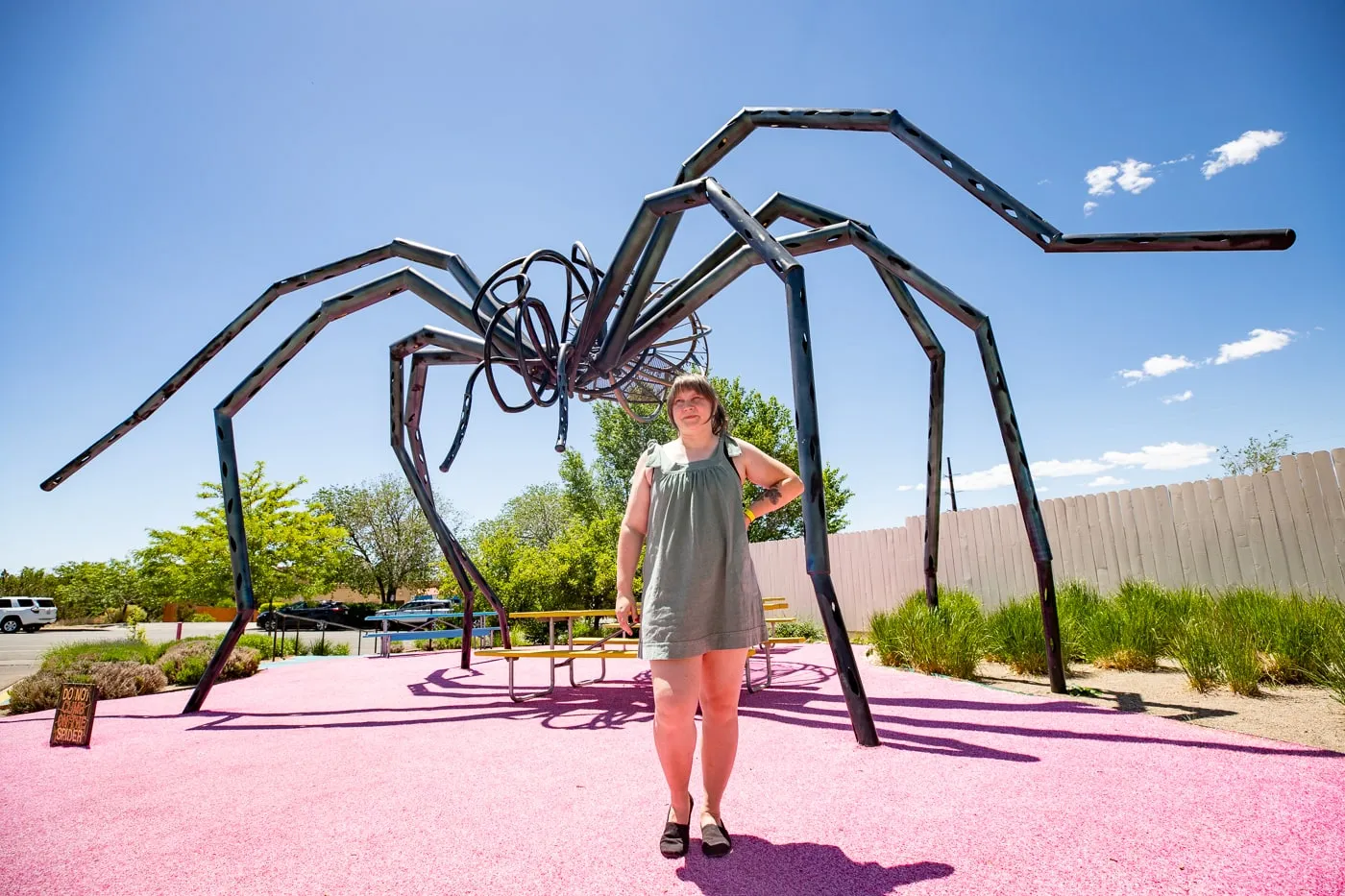 TaranTula - Giant Spider at Meow Wolf in Santa Fe, New Mexico