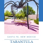 This roadside attraction is one of the best on the web. Find TaranTula, the giant spider sculpture in front of Meow Wolf in Santa Fe, New Mexico. The giant spider sculpture is officially titled "TaranTula" and was created by artist Christina Sporrong. The statue is 16-feet tall and constructed out of steel. It has a permanent home in the parking lot outside of Meow Wolf’s House of Eternal Return. #MeowWolf #RoadsideAttraction #RoadsideAttractions #NewMexicoRoadsideAttraction