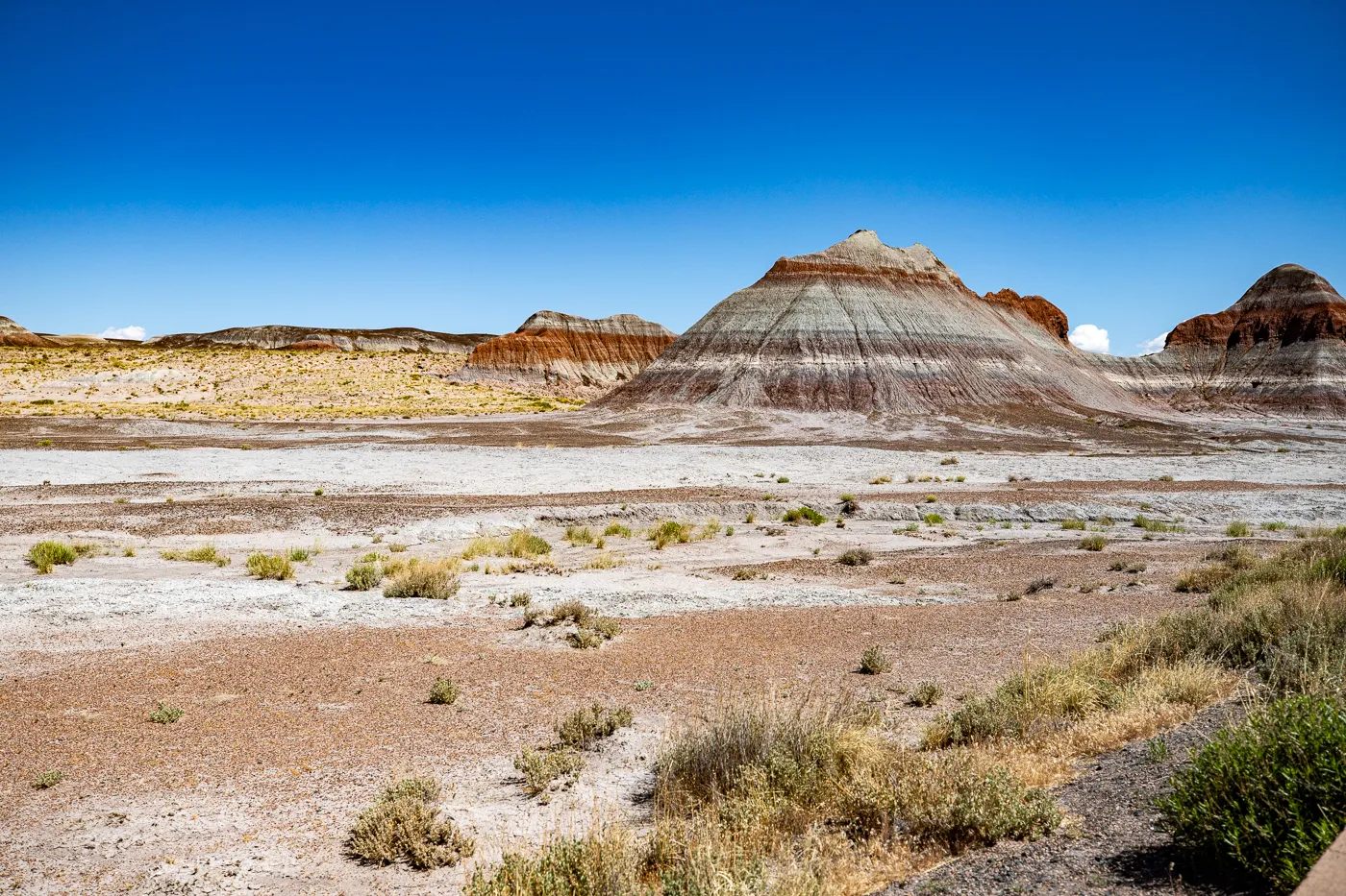 Petrified Forest National Park in Arizona - Blue Mesa