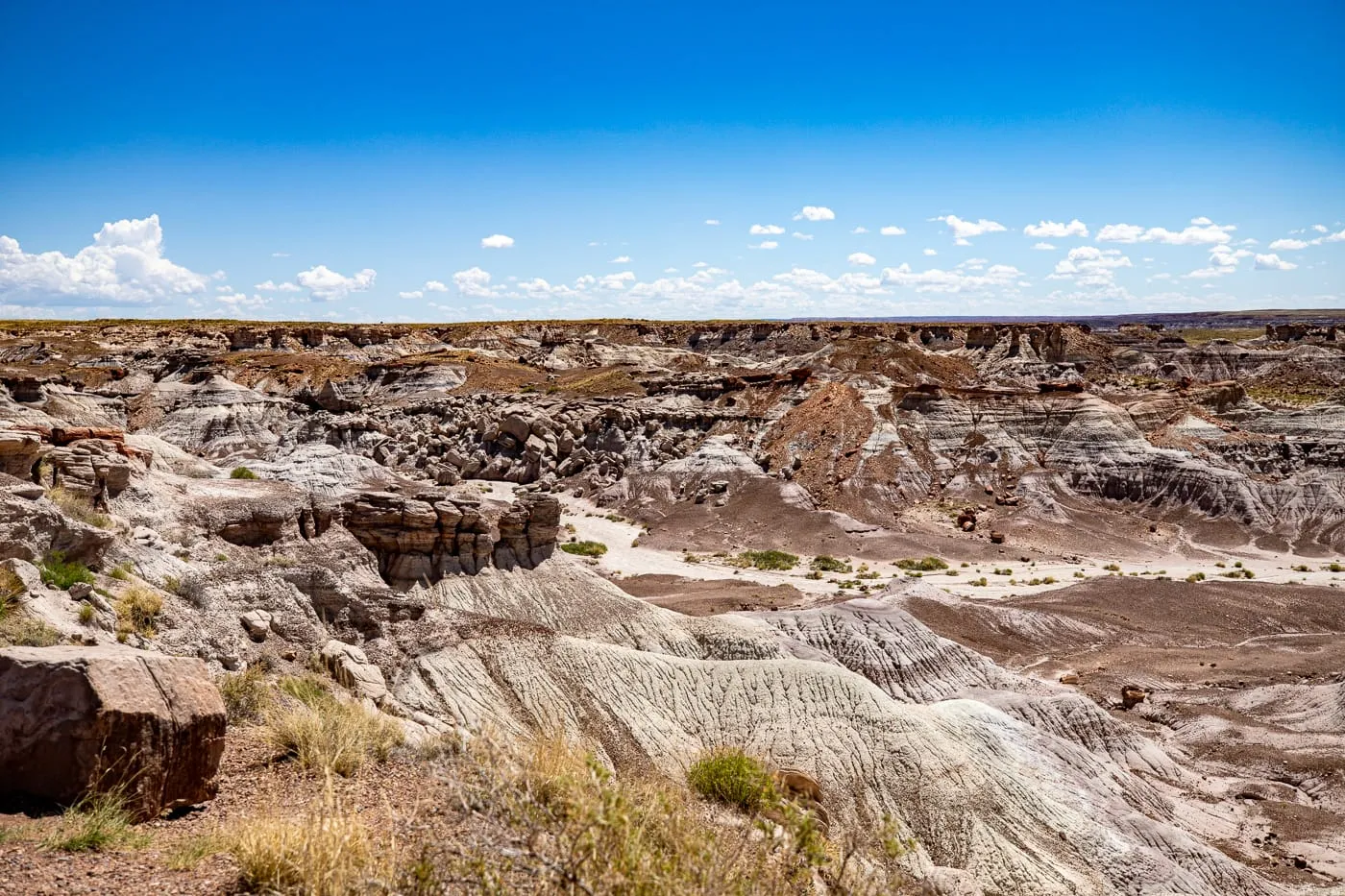 Petrified Forest National Park in Arizona - Jasper Forest