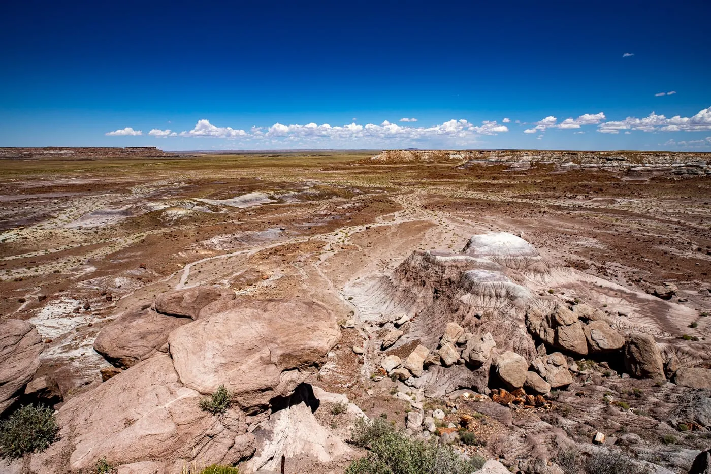Petrified Forest National Park in Arizona - Jasper Forest