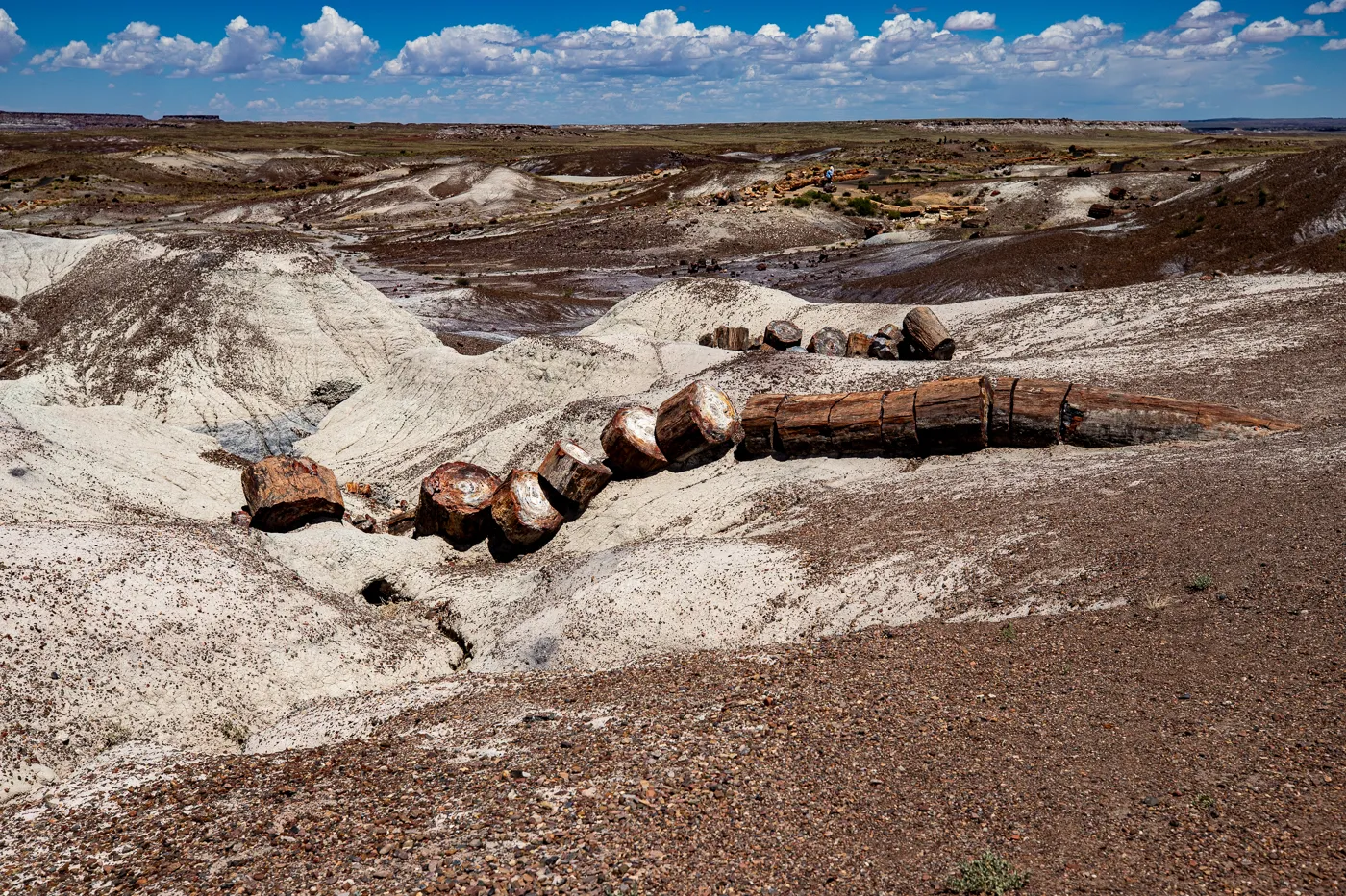 Petrified Forest National Park in Arizona - Crystal Forest