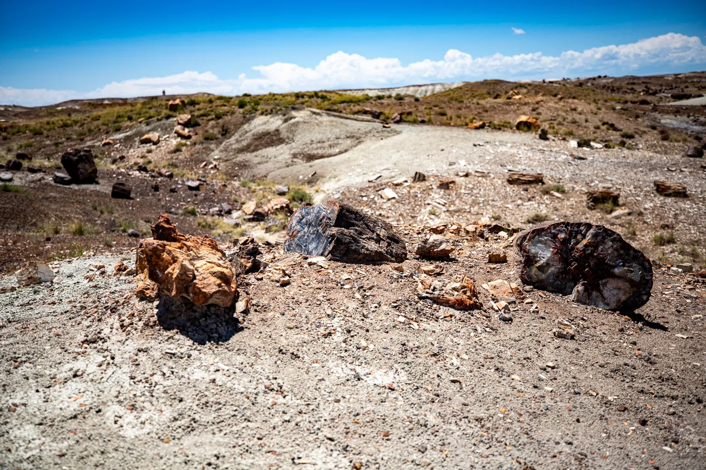 Petrified Forest National Park in Arizona - Crystal Forest