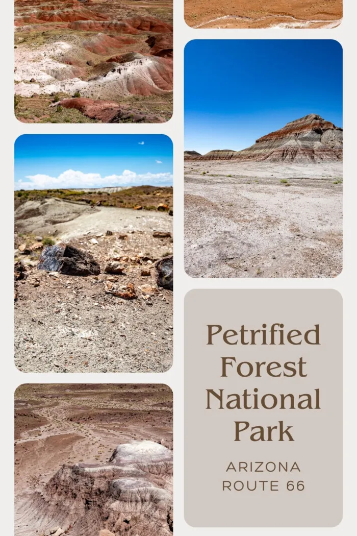 Imagine a land where ancient trees stand tall, not as vibrant giants reaching for the sun, but as silent sentinels of stone, their once-living forms immortalized in colorful minerals. This is the magic of Petrified Forest National Park, a breathtaking expanse in northeastern Arizona where time has woven a tapestry of stunning geologic wonders. Plan your visit to Petrified Forest National Park on Arizona Route 66. #NationalPark #PetrifiedForestNationalPark #RoadTrip #Arizona #ArizonaRoadTrip