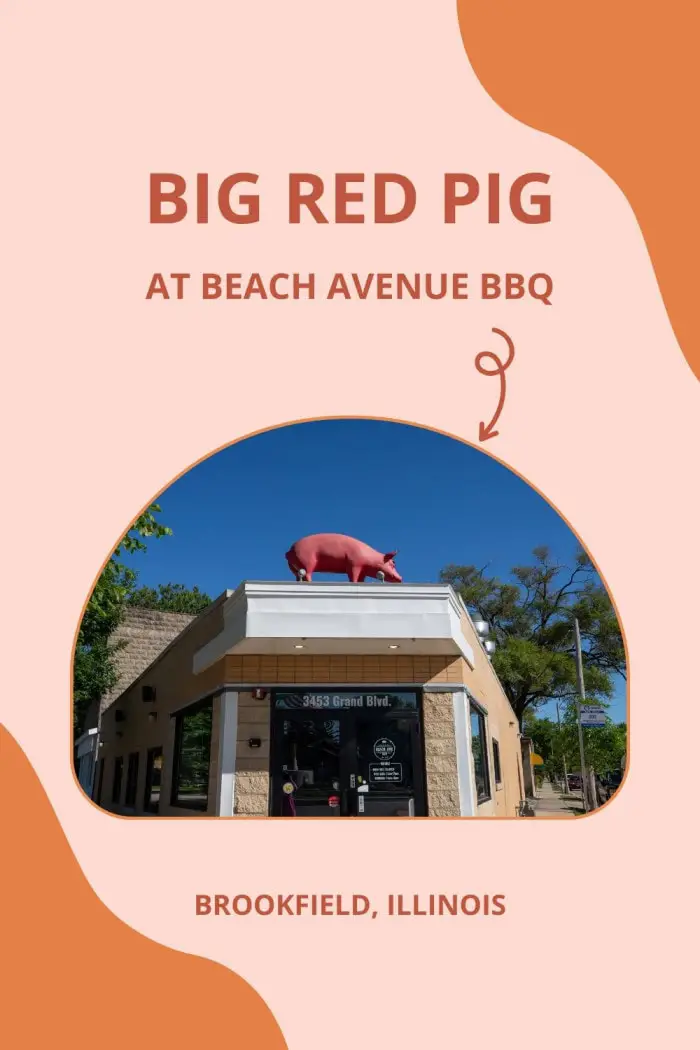 BBQ lovers, you won't miss this one! The Big Red Pig at Beach Avenue BBQ in Brookfield, Illinois, is a quirky roadside attraction in the heart of "Eight Corners." Perched atop the building, this big red fiberglass pig has been catching eyes and sparking curiosity since 2020. Owners drew inspiration from a nearby rooftop cow landmark, adding a pig of their own. Swing by to see the sight, snap a photo, and savor some pulled pork, brisket, or ribs! #RoadsideAttraction #RoadTrip #IllinoisRoadTrip