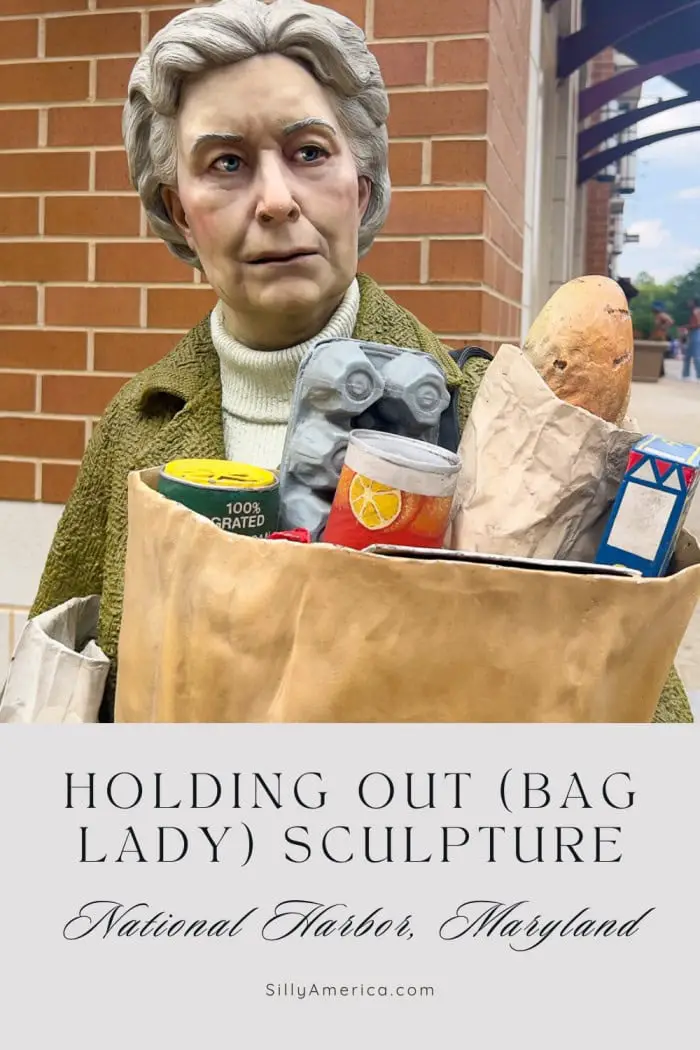 Take a stroll down American Way in National Harbor, Maryland, and discover "Holding Out," a fascinating sculpture by J. Seward Johnson. Depicting a life-sized woman balancing grocery and shopping bags, this bronze masterpiece is part of the "Celebrating the Familiar" series, blending art and everyday life. With shops, dining, and public art, National Harbor offers an open-air gallery experience you won’t forget. #RoadsideAttraction #Maryland #RoadsideAttractions #MarylandRoadTrip #RoadTrip