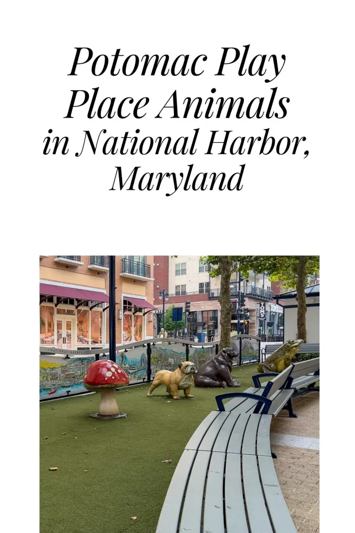 Add a little adventure to your National Harbor visit at Potomac Play Place! This fun-filled play area features adorable fiberglass animals like a monkey, lion, and frog that kids can climb and explore. Parents can relax on nearby benches while the little ones play in this charming, family-friendly spot. Perfect for a quick break while exploring the harbor's dining, shopping, and outdoor attractions. Don't forget to snap some adorable photos of the kiddos with their new animal friends! #maryland