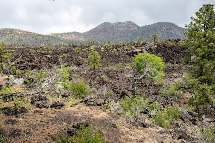 Sunset Crater Volcano National Monument in Flagstaff, Arizona