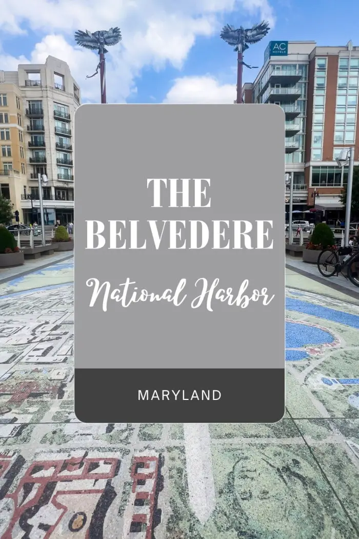 Don’t miss The Belvedere in National Harbor, Maryland! Also called Chesapeake Journey, this 1,618 sq. ft. terrazzo mural by artist Steven Weitzman is located underfoot at the end of American Way. Completed in 2008, it features over 70 elements celebrating the history and geography of Maryland, Virginia, and D.C., including images of George Washington, Thomas Jefferson, and local wildlife. Perfect for art lovers and history buffs alike, it’s a unique spot to explore on your next visit! #Maryland