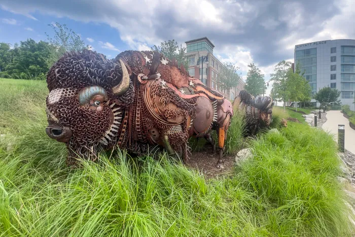 The Journey Bison Sculpture in National Harbor, Maryland