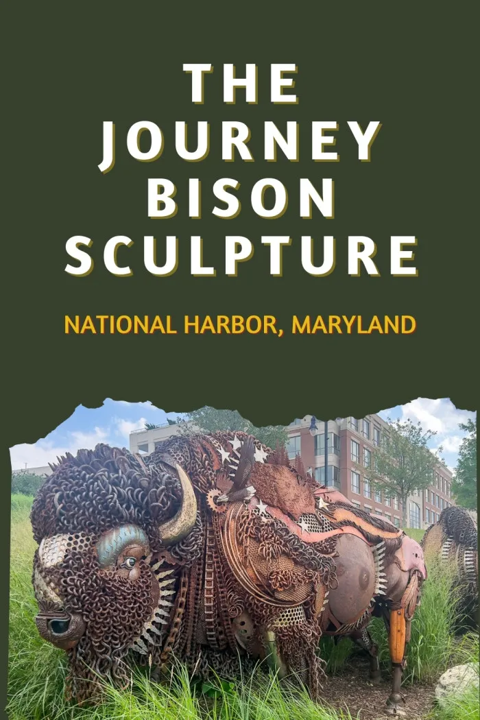 "The Journey" Bison Sculpture in National Harbor, Maryland, is a stunning piece of art featuring a life-size bison family made from scrap iron and cast bronze. Each member of the trio—Valor, Vigilance, and Innocence—represents elements of the American flag, crafted with intricate details like tractor parts and bronze accents. Unveiled in Spirit Park on Veterans Day 2022, it’s a moving tribute to America’s history. Add this roadside marvel to your travel bucket list! #RoadsideAttraction