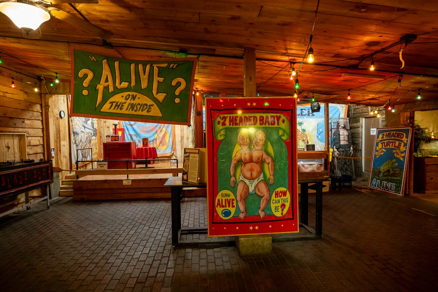 Uranus Sideshow Museum St Robert Missouri 23